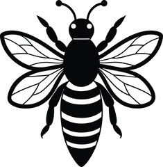 Poster - Bee silhouette isolated on transparent background