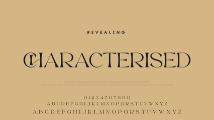 Aufkleber - Beauty Luxury font alphabet logo. Typography beautiful fashion elegant classic letters serif italic fonts decorative wedding vintage font. vector illustration.