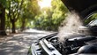 © Moopingz - Overheating car engine with smoke, open hood on roadside with trees.