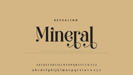 Aufkleber - Beauty Luxury font alphabet logo. Typography beautiful fashion elegant classic letters serif italic fonts decorative wedding vintage font. vector illustration.