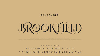 Aufkleber - Beauty Luxury font alphabet logo. Typography beautiful fashion elegant classic letters serif italic fonts decorative wedding vintage font. vector illustration.
