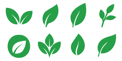 green eco-friendly leaf icon set in minimalist style showing different leaf shapes for sustainabilit