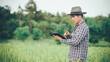 © MrAshi - Young Asian male farmer holding digital tablet for rice research observing green rice field with agriculture and technology concept.