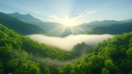 Poster - Majestic Mountain Vista: A stunning vista of towering mountains, lush green forests, and a sea of fog, all bathed in the warm, radiant glow of the sun's rays, creating a breathtaking scenic panorama.