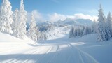 Ski resort mountain slopes snow-covered pine trees winter. Alpine landscape skiing tracks chairlift blue sky. Sports recreation vacation travel concept