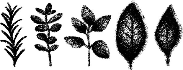 Poster - Hyper detailed ink stippling illustration set featuring various leaf designs for botanical art