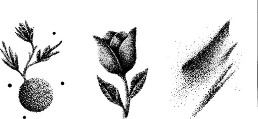 Poster - Hyper detailed ink stippling art set featuring nature and botanical elements