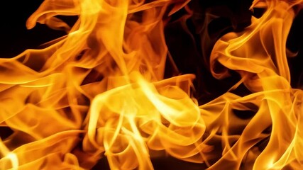 Poster - Intense close-up of realistic, swirling flames and dynamic fire tongues on a solid black backdrop creates a warm energy.