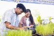 © Sumala - Young scientist in agricultural farm works with research team using laptop and notes to study plant growth and development in natural outdoor environment with enthusiasm and focus