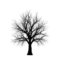 Poster - Silhouetted Tree against a Black Background Digital Illustration with Wispy Branches in Black and White