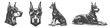 © makmur - Vintage Hand-Drawn Dog Doberman Collection Illustration, Pets Animal Engraved Style Vector for T-Shirts and Casual Themes Design