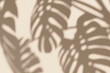 © Iana Kunitsa - Soft shadow of monstera leaves on a beige background. Minimal tropical aesthetic for natural skincare, summer design, wellness, or organic product presentation. Neutral tone, copy space.
