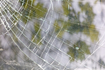 Wall Mural - A spider web is shown with a reflection of trees in the background