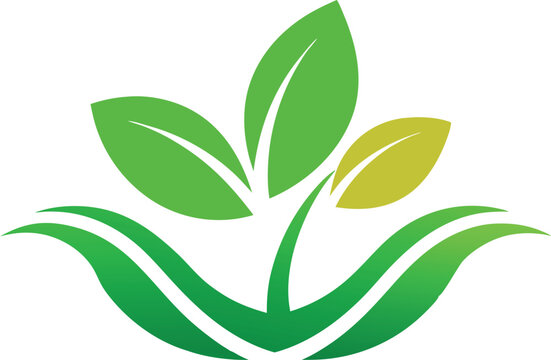 Adobe Illustrator Artwork Eco-friendly Vector “ Natural” typography with natural elements—ideal for sustainability, nature conservation, green campaigns, posters, labels, awareness art, ecology, clima