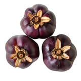 Fresh garcinia atroviridis fruit