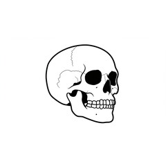 Poster - Elegant Skull Design Perfect for Branding Logos and Icons Scalable Graphic for Professional Projects