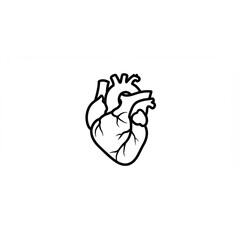 Poster - Anatomical Heart Line Art Graphic Perfect for Medical Logos Branding Design and Scalable Projects