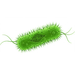 a detailed green bacterium design perfect for scientific illustrations, educational materials, or me