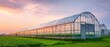 © Ruslana - The modern greenhouse illuminated by a picturesque sunset against the vibrant landscape.