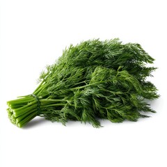 Aufkleber - Fresh Dill Bunch on White Background, Representing Healthy Eating and Culinary Creativity for Recipe Development and Food Bloggers : Generative AI