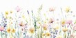© 4you - Watercolor wildflowers on a white background,
