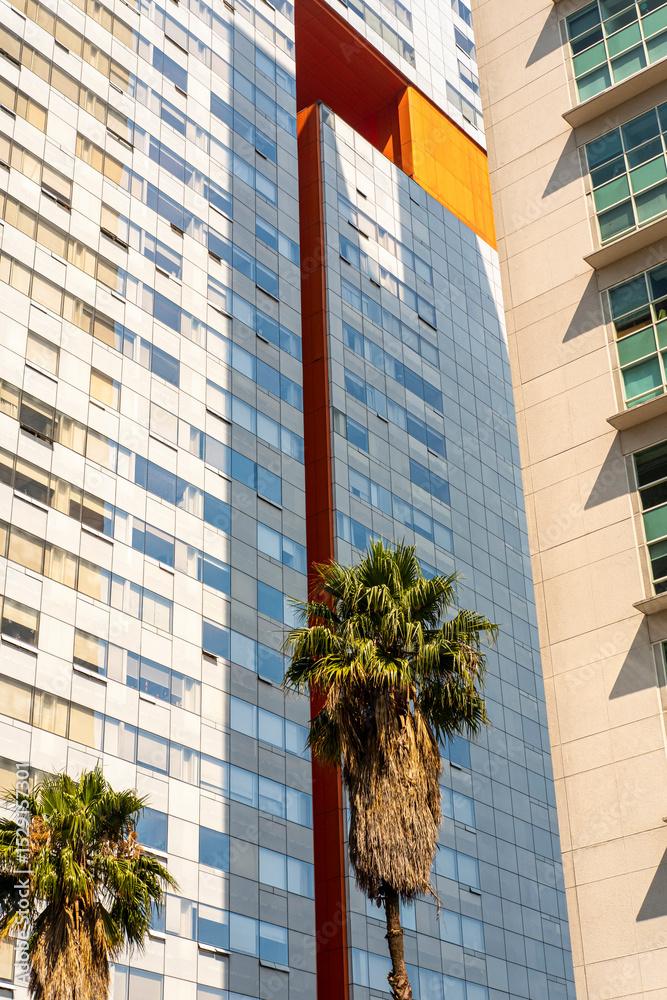 Colorful high-rise buildings with palm trees and sunlight, Santa Fe ...