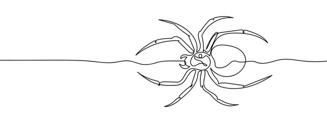 Wall Mural - continuous line spider Vector art lines, transparent background, edit stroke