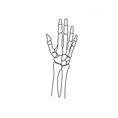Poster - Elegant Line Art of a Human Hand Skeleton ideal for Medical Designs Branding or Logo Creation