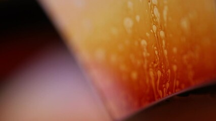 Poster - Orange coloured liquid surface, fluid effect, bright chemistry, liquid glass, interference pattern 