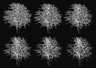 Poster - The image is a series of six different trees, all of which are white. The trees are all different sizes and are arranged in a row. The trees are all very similar in appearance