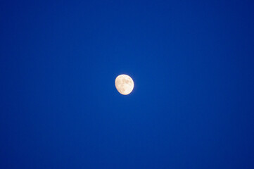 moon in the night