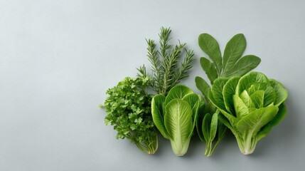 Poster - minimalistic and tidy image of small urban farm featuring various home-grown vegetables in grid layout