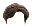 © ColdFire - PNG Stylish brown hair wig for young male