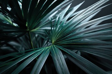 Aufkleber - Abstract Palm Fronds in Teal and White, Evoking Serenity and Natural Wellness, Perfect for Spa and Relaxation Concepts : Generative AI