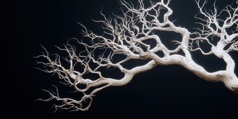 Poster - White Branching Tree Against Black Backdrop, Symbolizing Minimalism and Winter's Stillness for Creative Projects and Artistic Expression : Generative AI