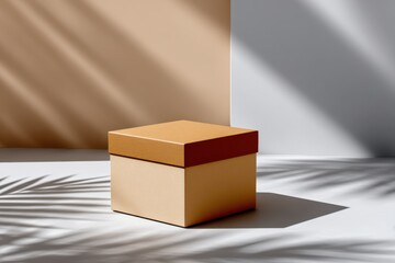 Poster - Elegant Two-Tone Box with Lid in Studio Light, Ideal for Branding Mockups and Product Packaging Presentation : Generative AI