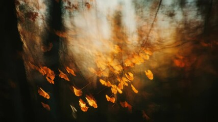 Poster - A blurry image of leaves in a forest