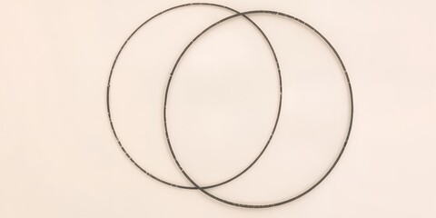 Poster - A simple shot of two thin black circles overlapping each other on a plain white background space