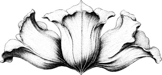Poster - Abstract floral design with overlapping sine curve petals for art decor