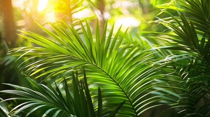 Aufkleber - Lush green palm tree with leaves that are open to the sun. Concept of warmth and relaxation, as the palm tree is bathed in sunlight