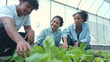 © Wosunan - Group of young people examining lettuce plants in a greenhouse