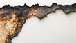 © Samia - A piece of old paper with burning edges, isolated on a white background. A piece of old, worn parchment paper with rough edges and slightly burnt corners.