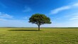 © mila103 - A lush green grassy field stretches into the distance, with a single, healthy tree at its center. The bright blue sky enhances the serene landscape, evoking a peaceful atmosphere.