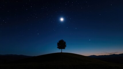 Wall Mural - A serene landscape at night showcases a lone tree on a hilltop. The sky is illuminated by numerous stars, with a bright moon casting a soft glow over the scene, creating a peaceful atmosphere.