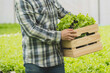 © Pormezz - Fresh from farm. Gardener carrying crate of fresh lettuce from farm ready to sell to client.