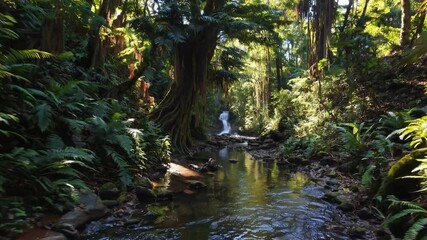 Aufkleber - Lush jungle serenity with green foliage, tranquil stream, cascading waterfall, sunlight filtering through tropical forest