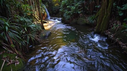 Aufkleber - Tropical jungle stream with lush green foliage, sunlight on water, vibrant tropical nature, serene foliage, peaceful sunlight