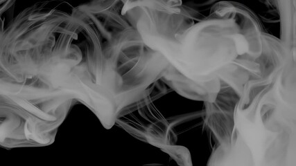 Poster - Abstract Smoke Design: White smoke swirls and curls on a black background, forming intricate patterns and textures.  The image is high contrast and visually striking.