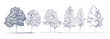 © aura studio - Set of graphic trees, outline style for architecture drawing, minimal cad tree line, side view, vector illustration, tropical plant elements, landscape design, tree symbol, foliage.