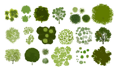 vector tree top, white isolated view, cad drawing, garden layout, site plan, foliage, landscape map,